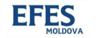 2efes